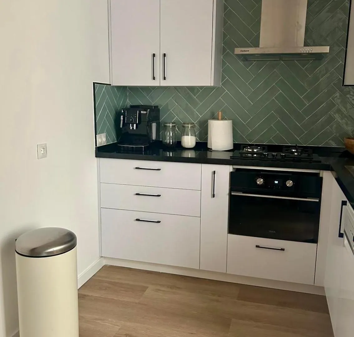 Apartamento La Biznaga Málaga 0*,